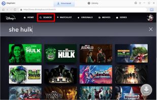 DispCam screenshot 2