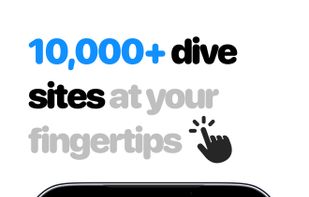 Dive Site Discovery