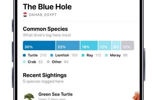 Marine Life Sightings