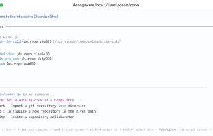 Diversion screenshot 2