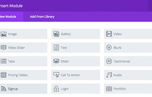 Divi screenshot 1
