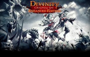 Divinity : Original Sin screenshot 3