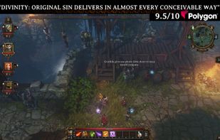 Divinity : Original Sin screenshot 1