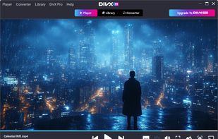 DivX screenshot 1