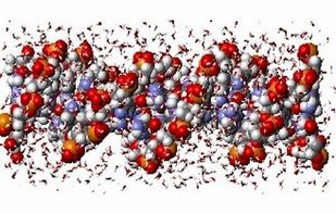 DL_POLY screenshot 1