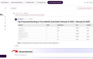DM Captain Enterprise - AI Chatbot