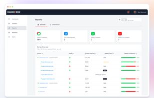 DMARCeye Reports tab - domain overview
