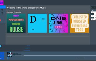 DnB&EDM screenshot 1
