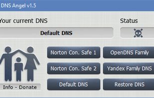Dns Angel screenshot 1
