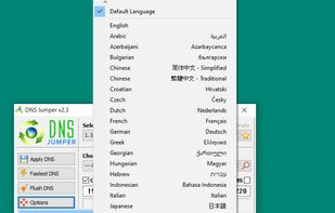 Dns Jumper screenshot 1