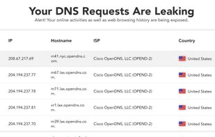 DNS Leak Test - PureVPN screenshot 1