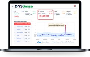 DNSSense screenshot 2