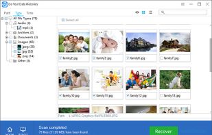 Do Your Data Recovery Professional screenshot 1