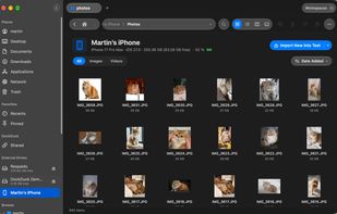 An iPhone connected: browse its photos and import only the new ones.
