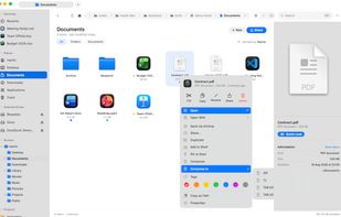The same workflow in light mode — DockDuck follows your system appearance and accent color, with tags, Quick Look previews, and file actions one click away.