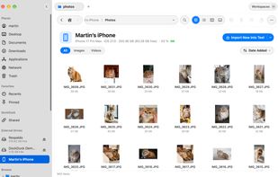 Photos from an iPhone in light mode, with Import New ready to copy what is missing.