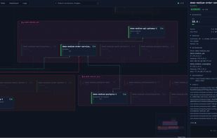 Container Detail Panel
Selecting an item in the graph opens a detailed side panel with runtime information, resource usage, networking details, environment data, labels, and logs.