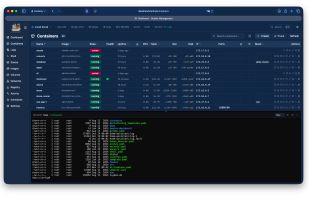 Dockhand screenshot 2