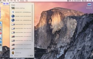 DockShelf screenshot 3