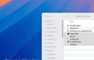 Dockside screenshot 3