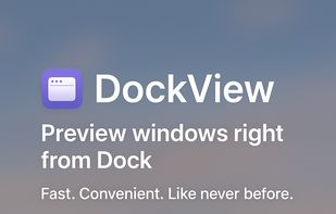 DockView for macOS Dock screenshot 1