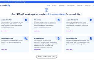 documenta11y screenshot 1