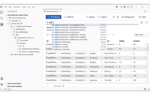 Collection view with schema aware autocompletion.
