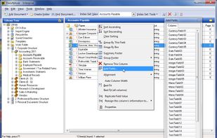 DocuXplorer screenshot 2