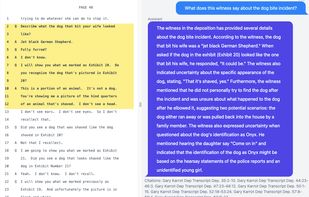 Chat with your deposition transcript