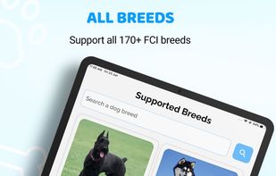 Dog Identifier: AI Dog Scanner screenshot 2