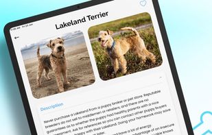 Dog Identifier: AI Dog Scanner screenshot 3