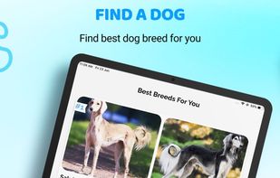 Dog Identifier: AI Dog Scanner screenshot 1