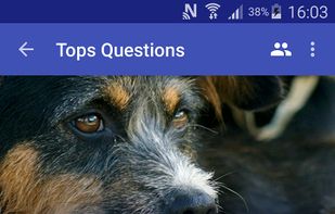 Dogs Daily Tips Free screenshot 3