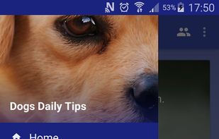 Dogs Daily Tips Free screenshot 1
