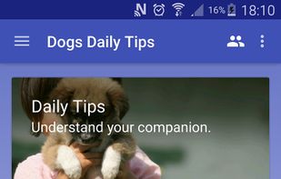 Dogs Daily Tips Free screenshot 2