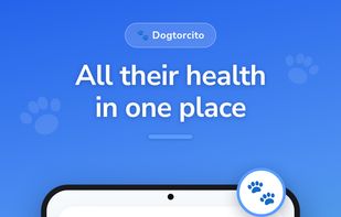 Dashboard: All your pets' health in one place. The home screen summarises every pet's status and highlights what needs attention, with upcoming reminders and quick actions.