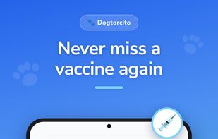 Vaccines: Never miss a vaccine again. Record every dose and see the next one scheduled, with reminders before it's due.