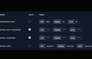 Manage environments and variables