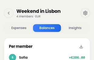 Balances: each member's position plus a simplified "who owes whom" list you can settle in one tap.