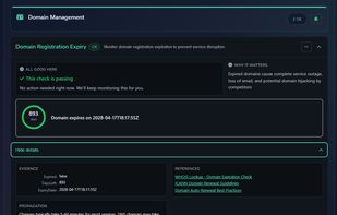 The domain report showing a detailed check.