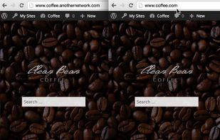 Domain Mapping screenshot 1