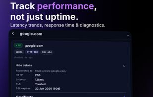 Full target detail: 24-hour latency trend, HTTP status, TLS info, SSL expiry, and certificate breakdown.