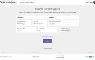 Domain Scout screenshot 3