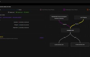 Searching for a domain name