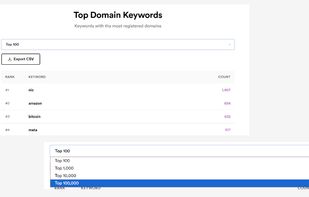 Top 100,000 Domain Keywords