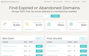 DomainJackal.com screenshot 1