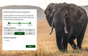 The designs for donation forms have been optimized to be as efficient as possible.