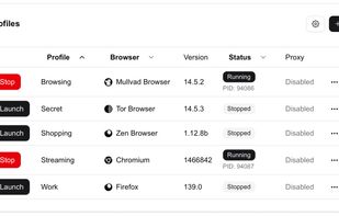 Donut Browser screenshot 1