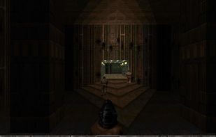 DOOM Retro screenshot 1