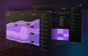 All processing occurs on device, not in a remote datacenter